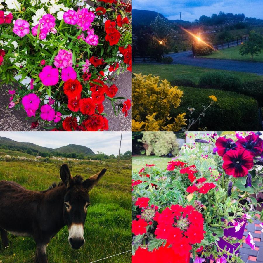 Hillcrest Farmhouse Bed & Breakfast Boyhollagh ภายนอก รูปภาพ